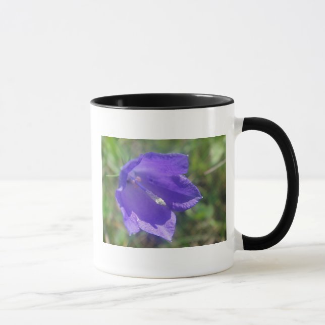Tasse braue Glockenblume (Rechts)
