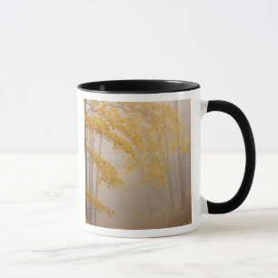 Tasse Brouillard et feuillage d'automne, Great Smoky Mou
