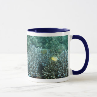 Tasse Butterflyfish de perches de la Manche (lunulatus