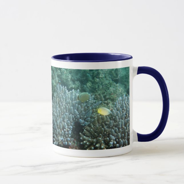Tasse Butterflyfish de perches de la Manche (lunulatus (Droite)