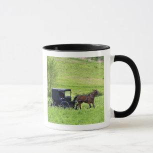 Tasse Caleship Amish près de Berlin, Ohio.