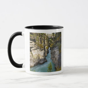 Tasse Canada, Alberta, parc national de Jasper, Athabasc