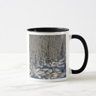 Tasse Canada, Alberta, Parc national Jasper.
