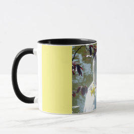 Tasse Canard Blanc Dans La Boue De Daffodiques