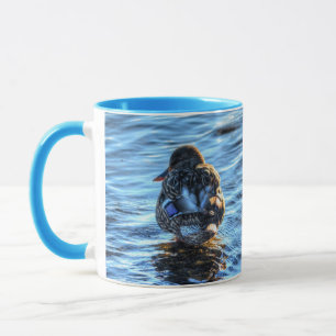 Tasse Canard de Mallard dans la rivière Winter - Photo F