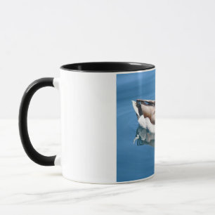Tasse Canard mâle