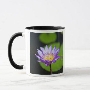 Tasse Cancun, Mexique