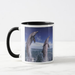Tasse Caraïbes, dauphins de Bottlenose Tursiops