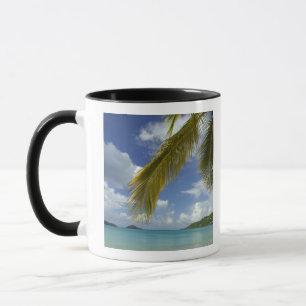 Tasse Caraïbes, îles Vierges américaines, Saint-Thomas,