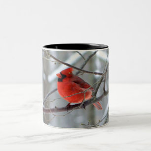 Tasse cardinale rouge d'hiver