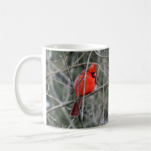 Tasse cardinale rouge royale