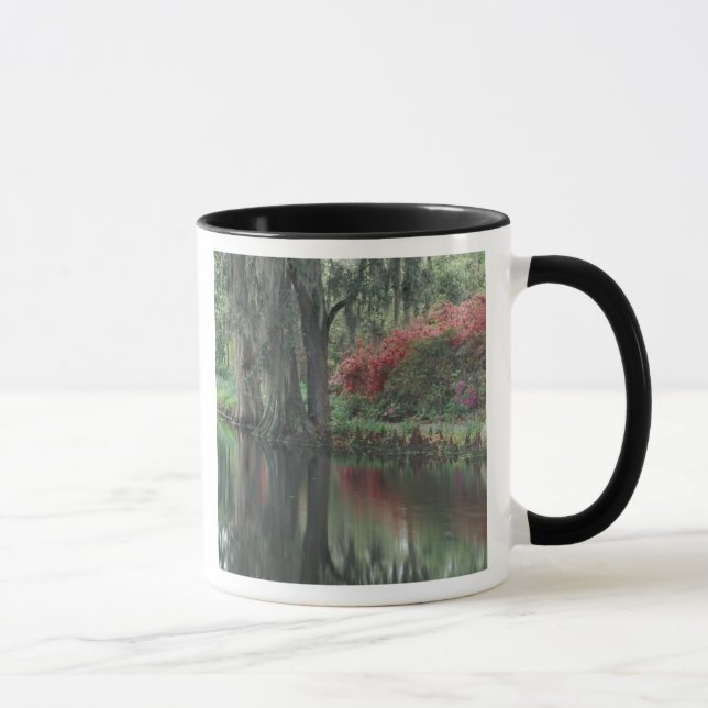 Tasse Caroline du Sud, Charleston (Droite)