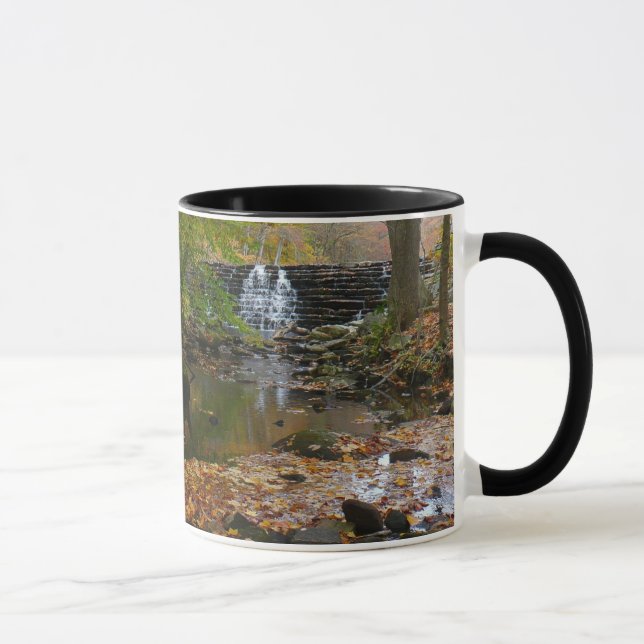 Tasse Cascade automnale et Creek Pennsylvania Nature (Droite)