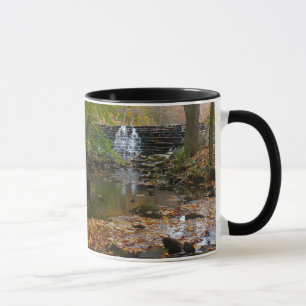 Tasse Cascade et ruisseau d'automne en Pennsylvanie Natu