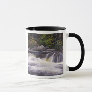 Tasse Cascades, Route Kancamagus, Blanc