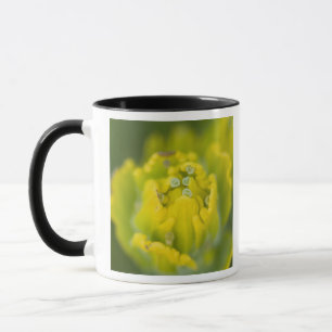 Tasse Castilleja 2