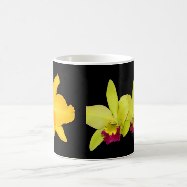 TASSE, Cattyleyas, zwei Vielzahl Verwandlungstasse (Mittel)