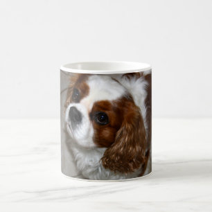 Tasse cavalière d'épagneul du Roi Charles