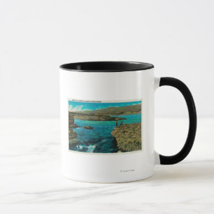 Tasse Celilo tombe sur le fleuve Columbia