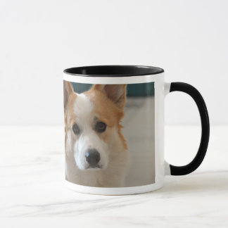Tasse Ch. BOUTEUR - visage de corgi de gallois de