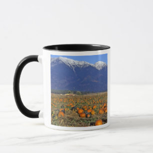 Tasse Champ de citrouilles de Flathead Valley Montana