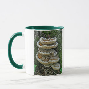 Tasse Champignons de plateau sur souche
