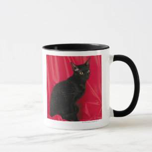 Tasse Chat cornouaillais de rex