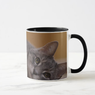 Tasse Chat dans la pose mignonne se trouvant sur le