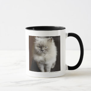 Tasse Chat de l'Himalaya de point bleu semblant irrité