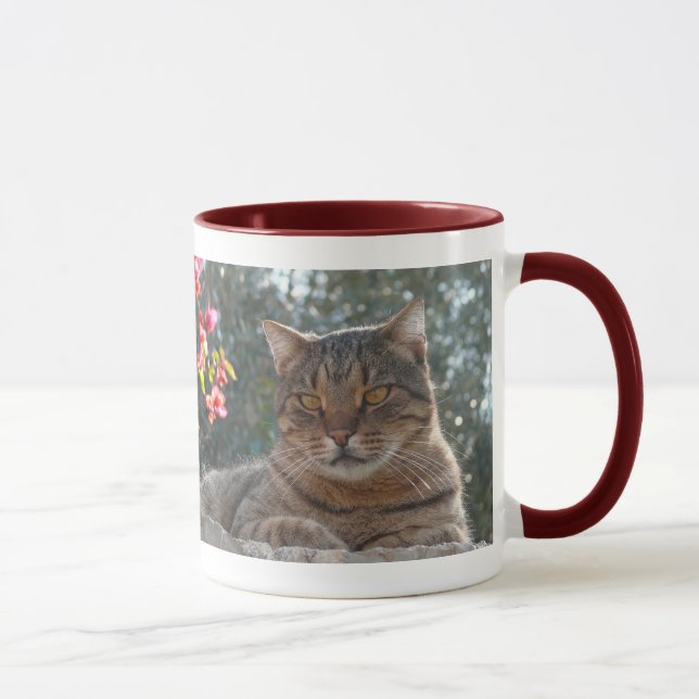 Tasse Chat de tigre Pandelie (Droite)