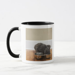 Tasse Chat mangeant de la cuvette