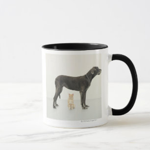 Tasse Chat se reposant sous great dane