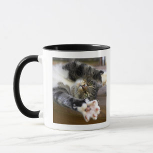 Tasse Chat s'étirant, à l'intérieur