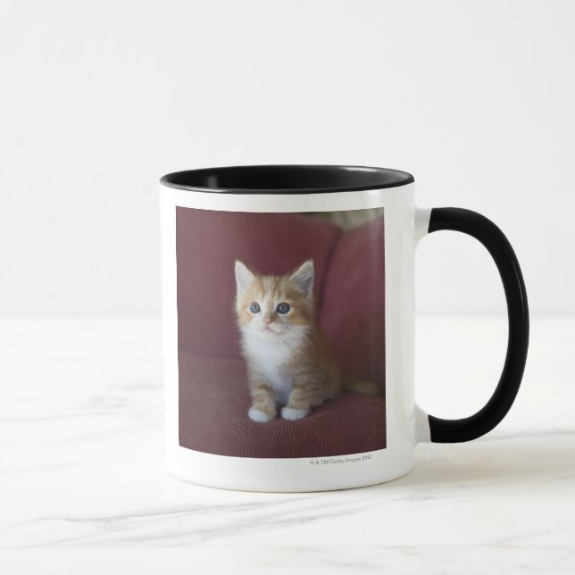 Tasse Chat sur le sofa (Droite)