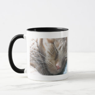 Tasse Chat Tabby Orange