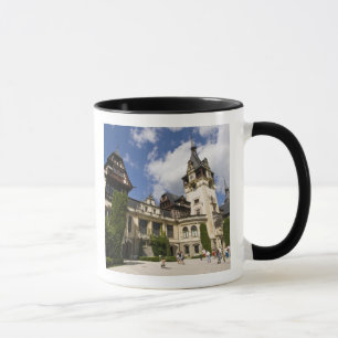 Tasse Château de Peles du 18ème siècle, Sinaia, Roumanie
