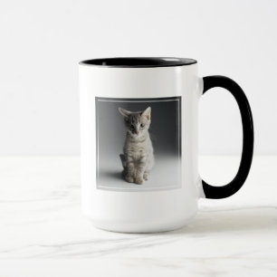 Tasse Chaton tigré bleu
