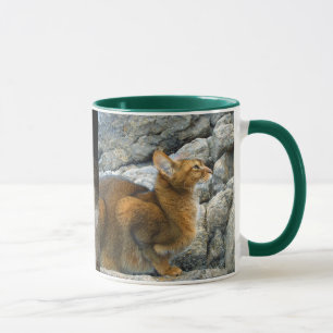 Tasse Chats abyssiniques