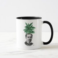 Chef du Plante À feuillage persistant chinois