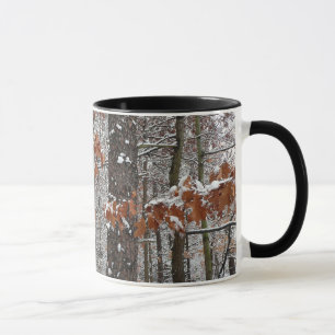 Tasse Chênes couverts de neige hiver Photographie de la 