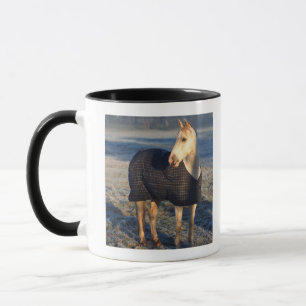 Tasse cheval