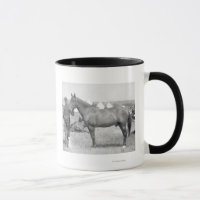 Cheval "Comanche" le seul Survivant du Custer