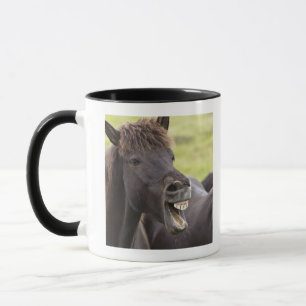 Tasse Cheval islandais avec l'expression drôle