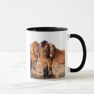Tasse Cheval islandais en hiver