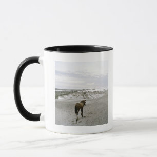 Tasse Cheval marchant sur la plage