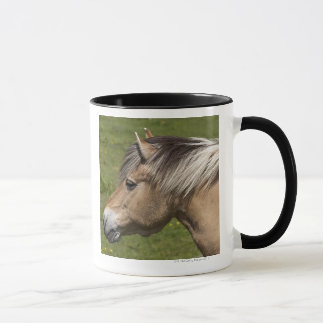 Tasse Cheval norvégien de fjord (Droite)