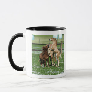 Tasse Chevaux 3