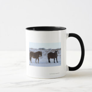 Tasse Chevaux au cap Kiritappu, préfecture de Hokkaido,