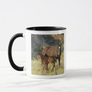 Tasse Chevaux sauvages au parc national Theodore Rooseve