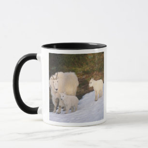 Tasse chèvres de montagne